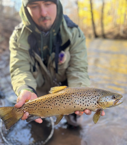 From cast to Trout catch in Sandy Creek, NY! 